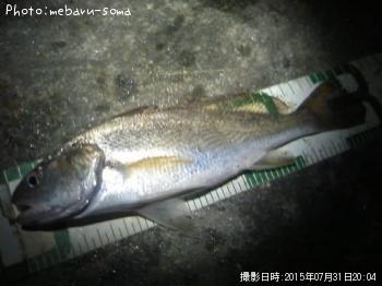 イシモチ
