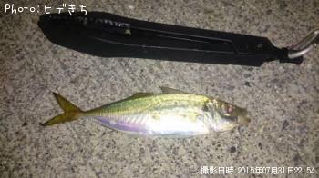 アジ
