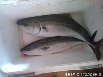 饵ȥҥ