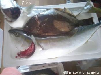 饵ȥҥ
