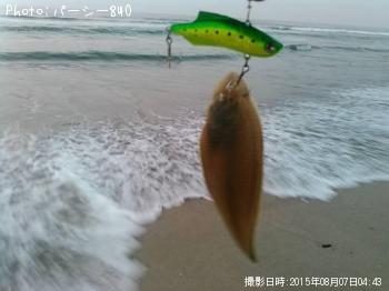 シタビラメ