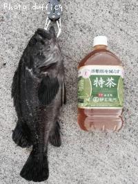 クロソイ