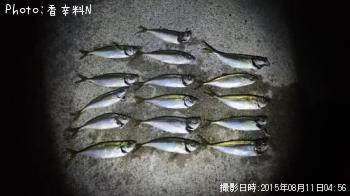 アジ