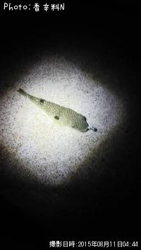 アジ