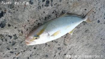 ʥ