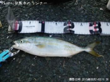 アブコ