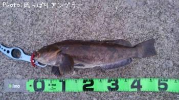 ʥ