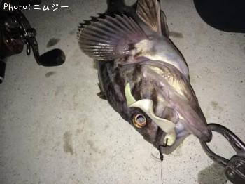 クロソイ