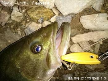 ブラックバス
