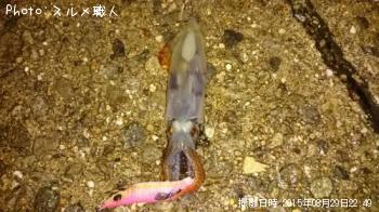 ベイカ