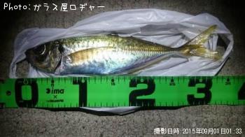 アジ