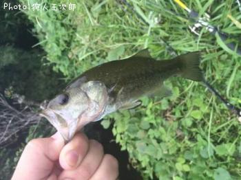 �֥�å��Х�