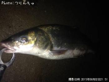 オオガイ