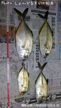 メッキ