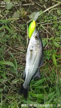 Х