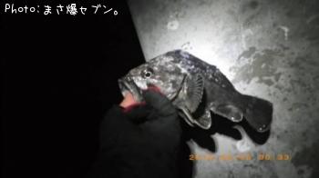 クロソイ