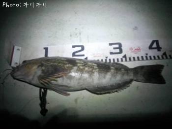 ʥ