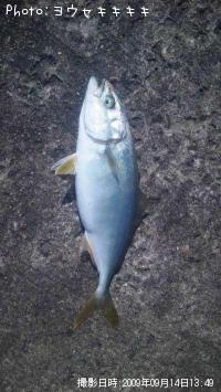 ʥ
