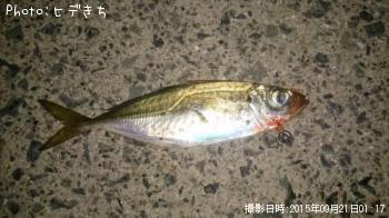 アジ