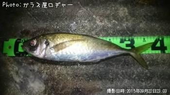 アジ