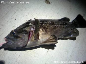 クロソイ
