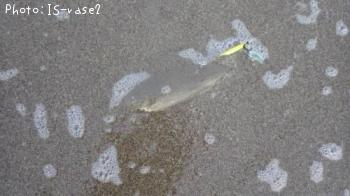 ӥ