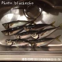 アジ