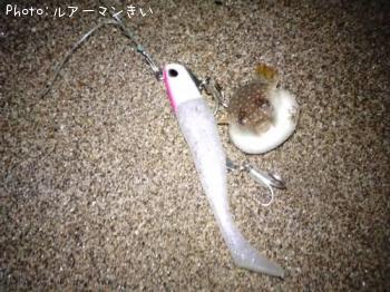 ネタです。