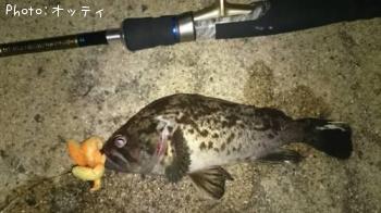 クロソイ