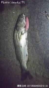 Х