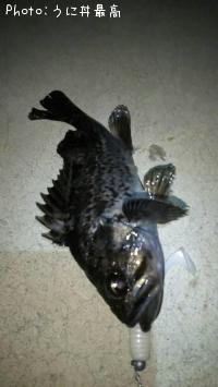 クロソイ