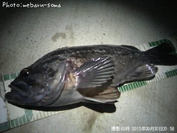 クロソイ