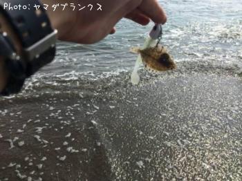 ҥᡩ