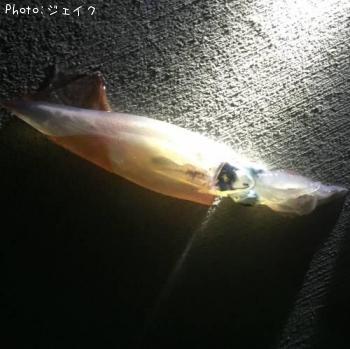 いか