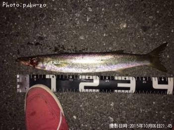 カマス