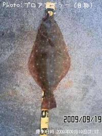 ҥ