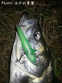 Х