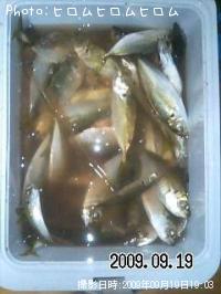 アジ