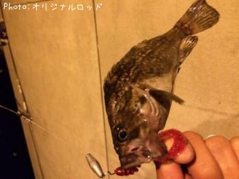 ソイ
