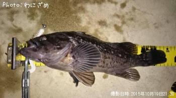 クロソイ