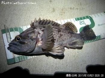 クロソイ