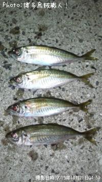 アジ
