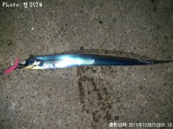 タチウオ