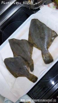 カレイ