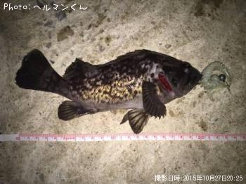 クロソイ