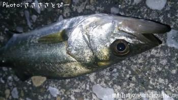 Х