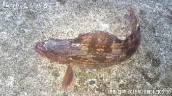 ʥ