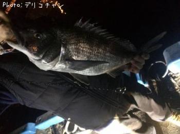 チヌ