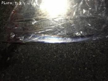 太刀魚