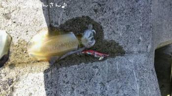 屨±